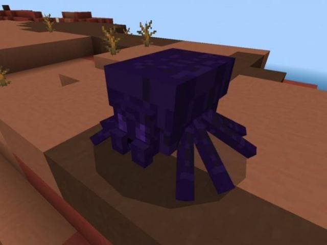 Паук с отравленной спиной