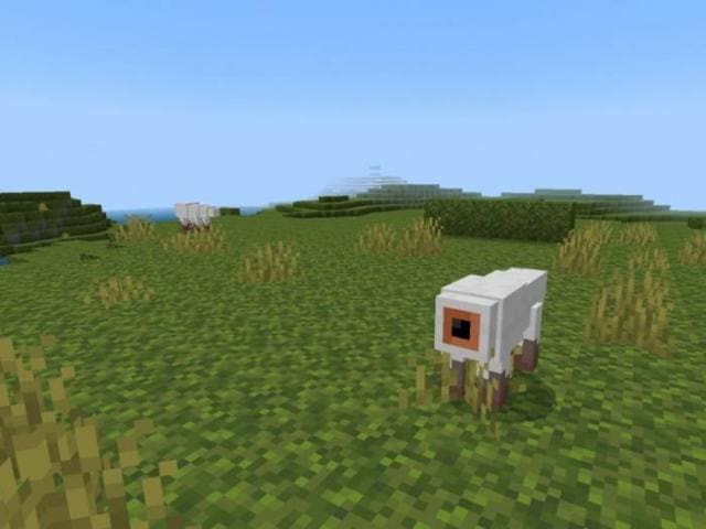 Болотная крыса