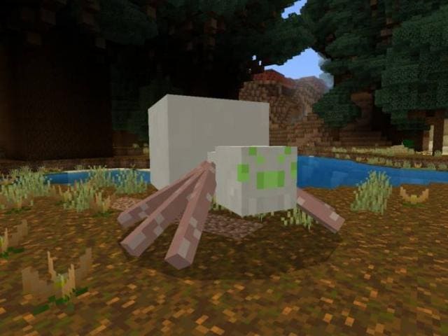 Виишок-альбинос