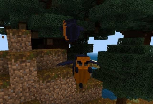 Огненный жук