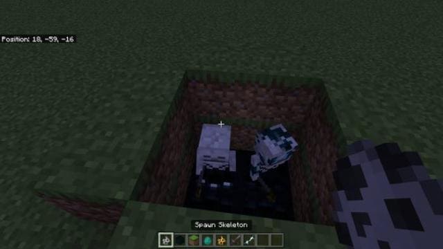 Скалк-скелет