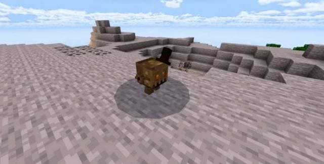 Ростим на камнях