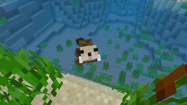 Выдра выплывает из воды