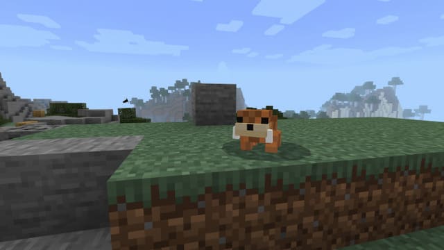 Оранжевая выдра на траве