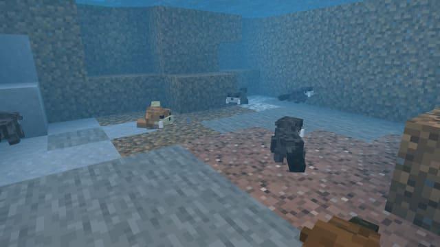 Выдра на глубине океана