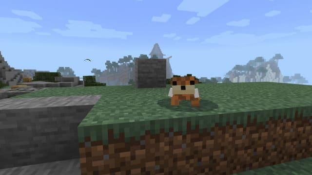 Выдра на траве