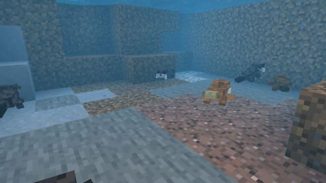 Выдра под водой