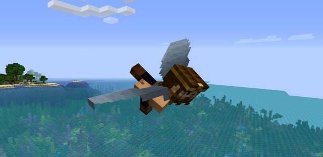 Надетые на спину игрока Элитры