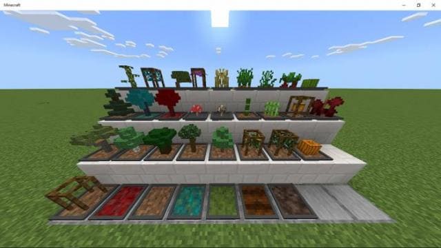 7  Бонсай в горшках