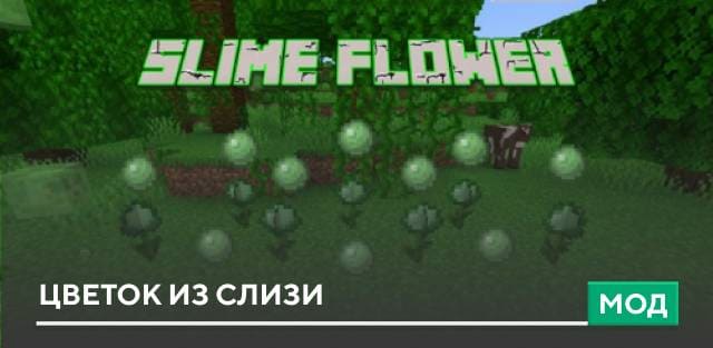 Мод: Цветок из слизи