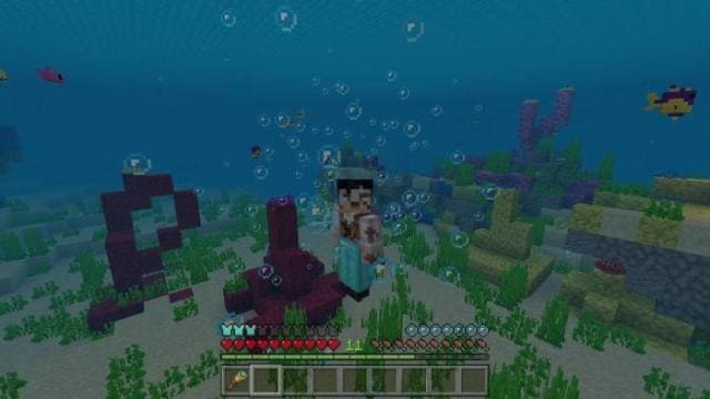 Погружение дельфина