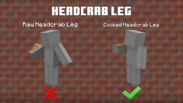 Ноги хедкраба