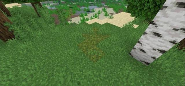 Замшелые участки почвы