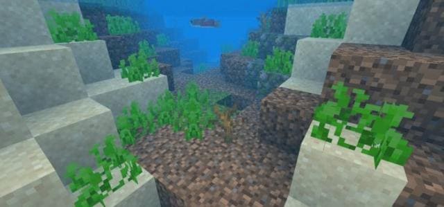 Мертвый куст