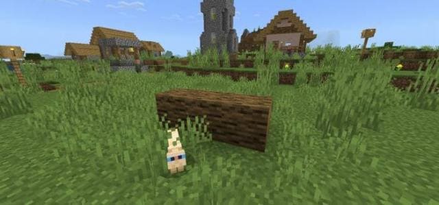 Упавшее дерево