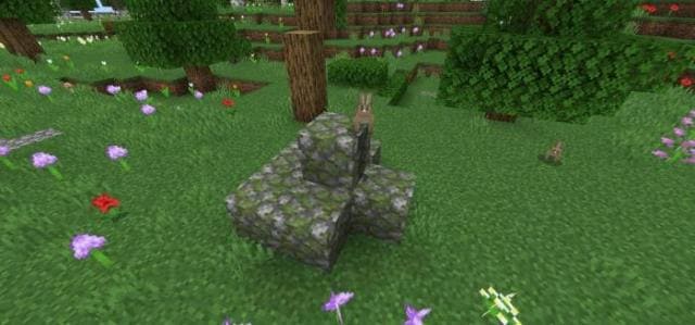 Замшелые булыжниковые скалы