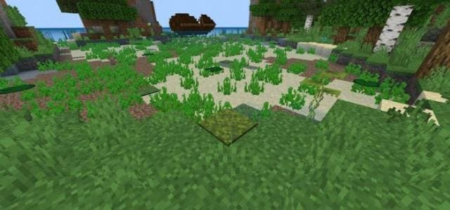 Ковер из мха