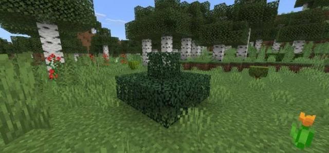 Новый вид кустов