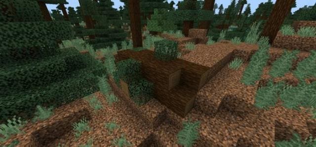 Упавшее дерево в тайге