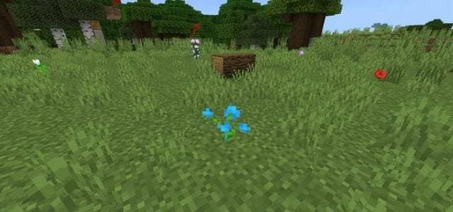 Дикие цветы