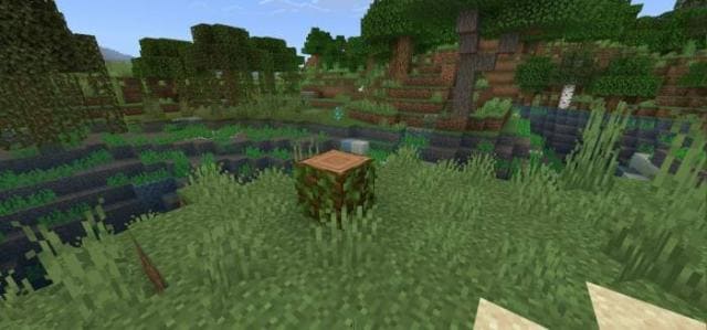 Небольшой пенек в джунглях