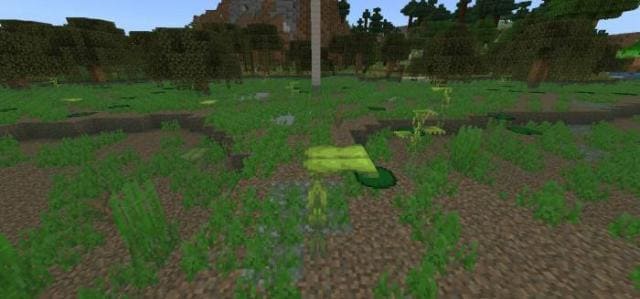 Твердолист