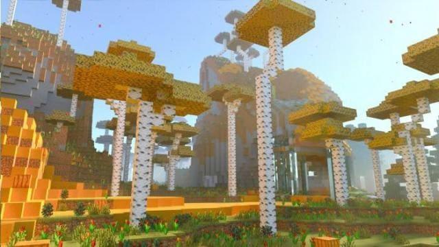 Эвкалиптовый лес