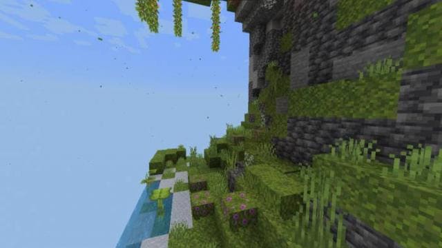 Край одного чанка