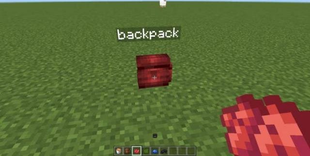 Красный рюкзак