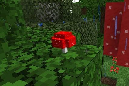 Маленький гриб