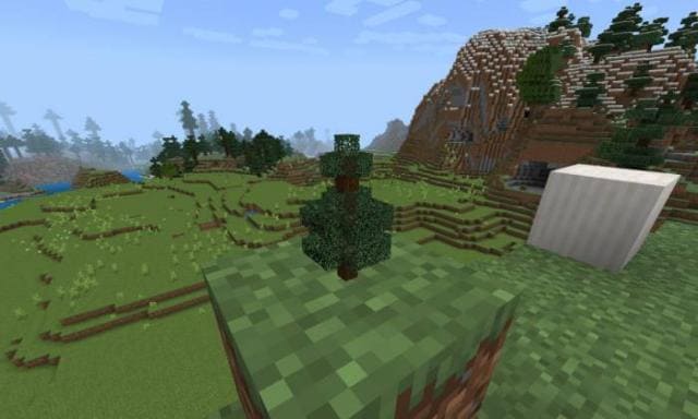 Крошечное дерево