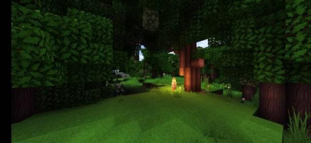 Факел под деревьями