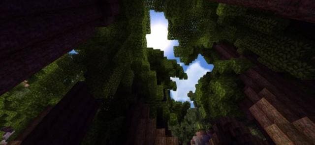 Пространство между листвой