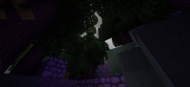 Небольшой лесочек