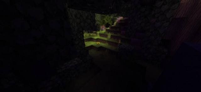 Небольшое освещение леса