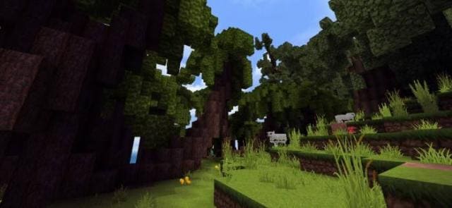 Лесная гуща