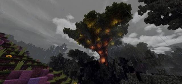 Пространство в лесу