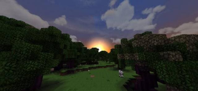 Яркое солнце на горизонте