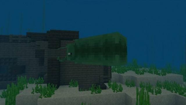 Барнакл в воде