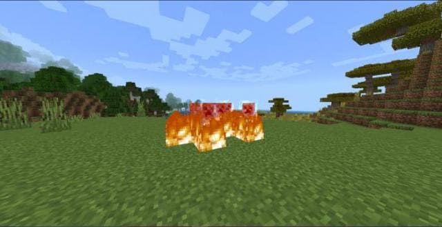 Поджог криперов