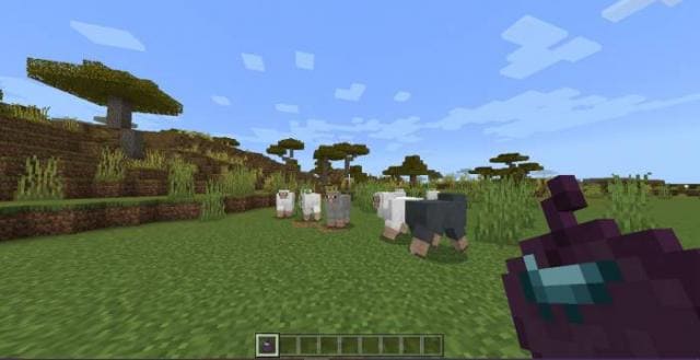 Овцы и эндеритовое яблоко