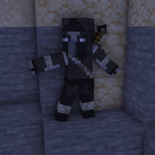 Разбойник нинздя