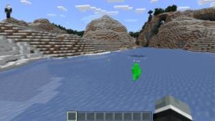 Тестовое существо на льду