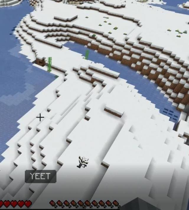 Ландер в снежном биоме