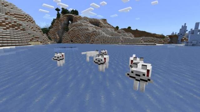 Необычные собачки