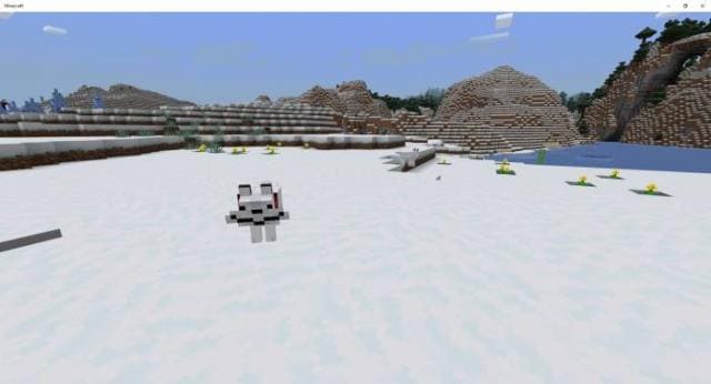 Необычные собачки в снежном биоме