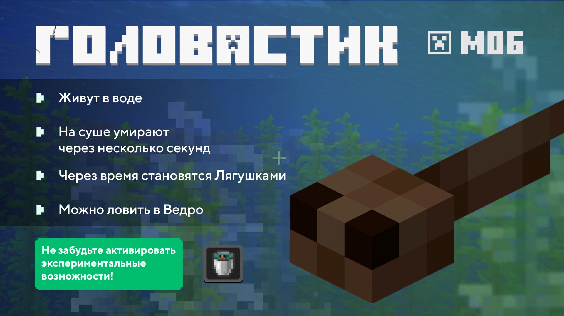 Головастик в Майнкрафт короткое описание