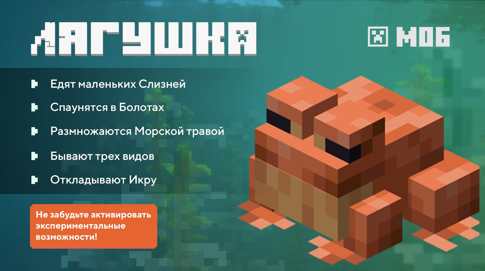 Лягушка в Майнкрафт короткое описание