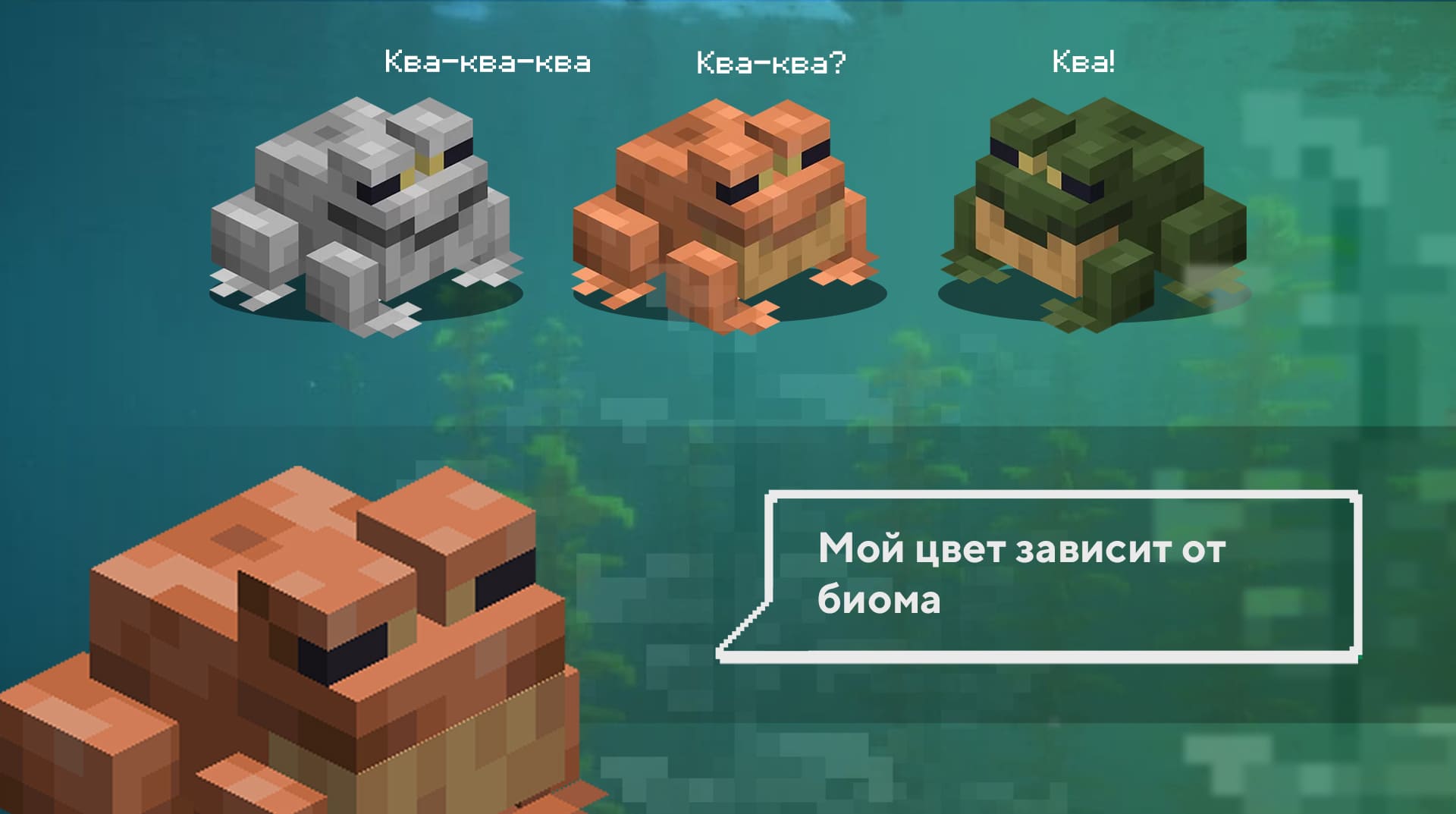 Разные виды лягушек в Майнкрафт
