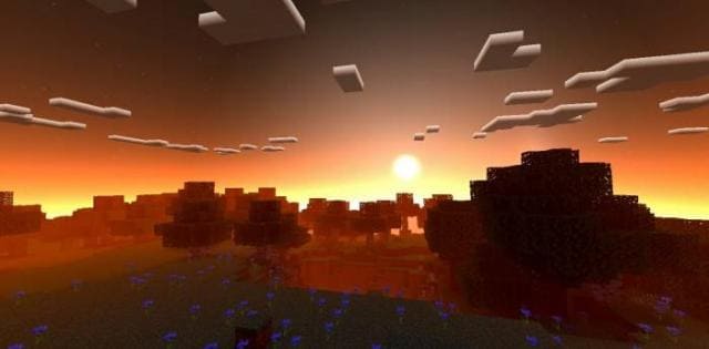 Множество деревьев в цветочном поле